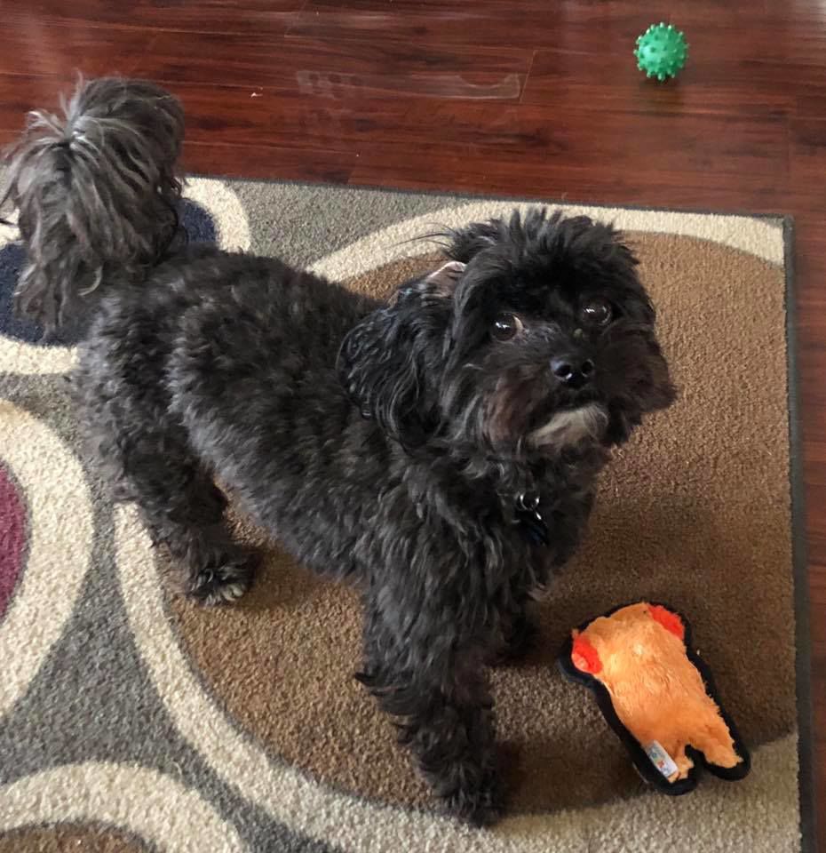 Baxter